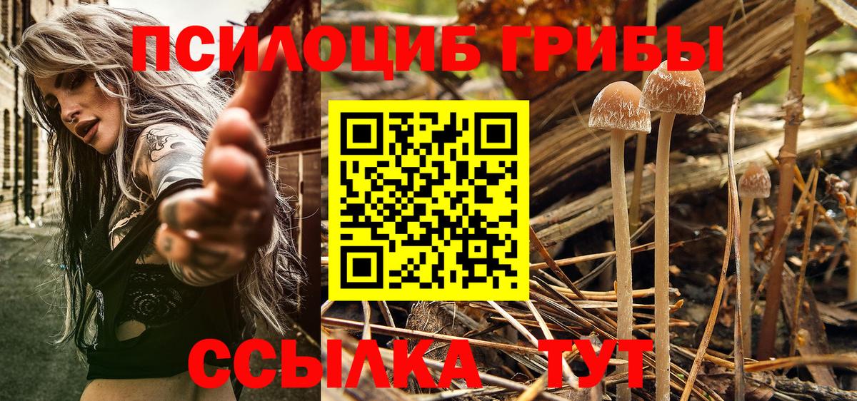 Псилоцибиновые грибы ЛСД  Вход с VPN  Калининград 